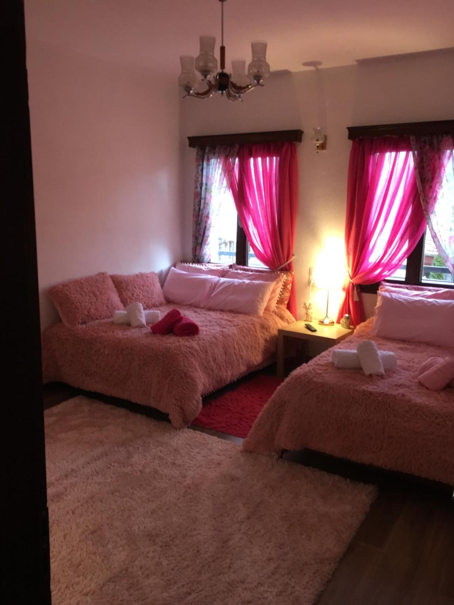 Agapi'S House Lejlighed Metsovo Eksteriør billede