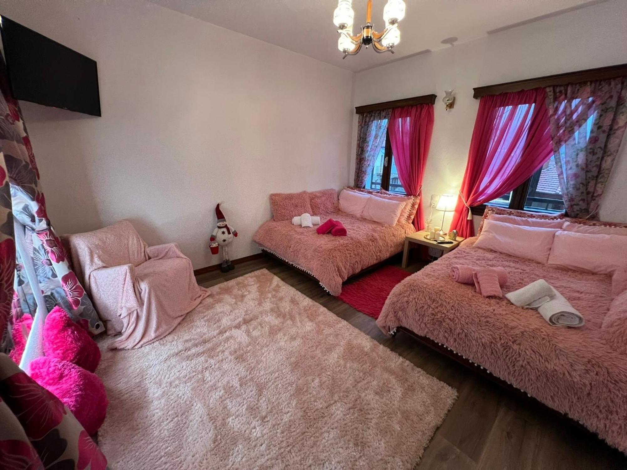 Agapi'S House Lejlighed Metsovo Eksteriør billede